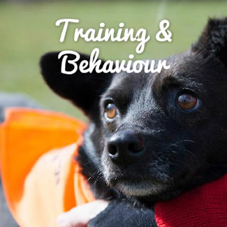Training and Behaviour